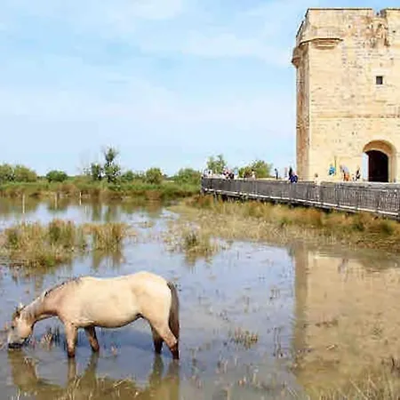 Maison Chaleureuse A 5 Mins Des Remparts * Aigues-Mortes
