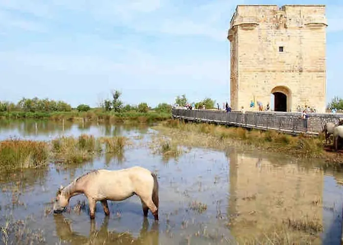 Maison Chaleureuse à 5 Mins Des Remparts * Aigues-Mortes